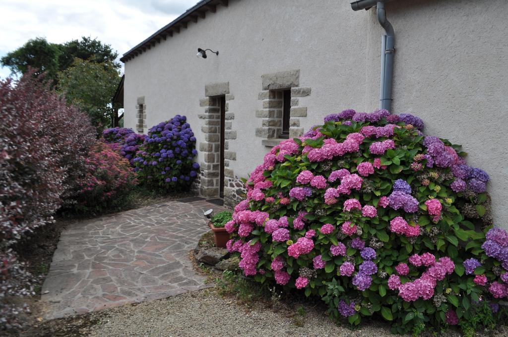 Perrault Gites Loscouet-sur-Meu Exterior foto